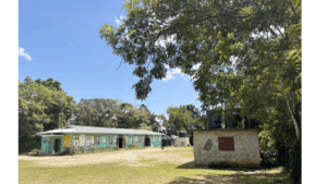 Mount Ward Primary School Gallery Image