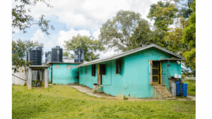 Mount Ward Primary School Gallery Image