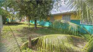 Duhaney Park Primary School Gallery Image