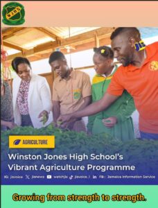 Winston Jones High School Gallery Image