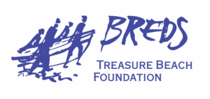 BREDS Treasure Beach Foundation