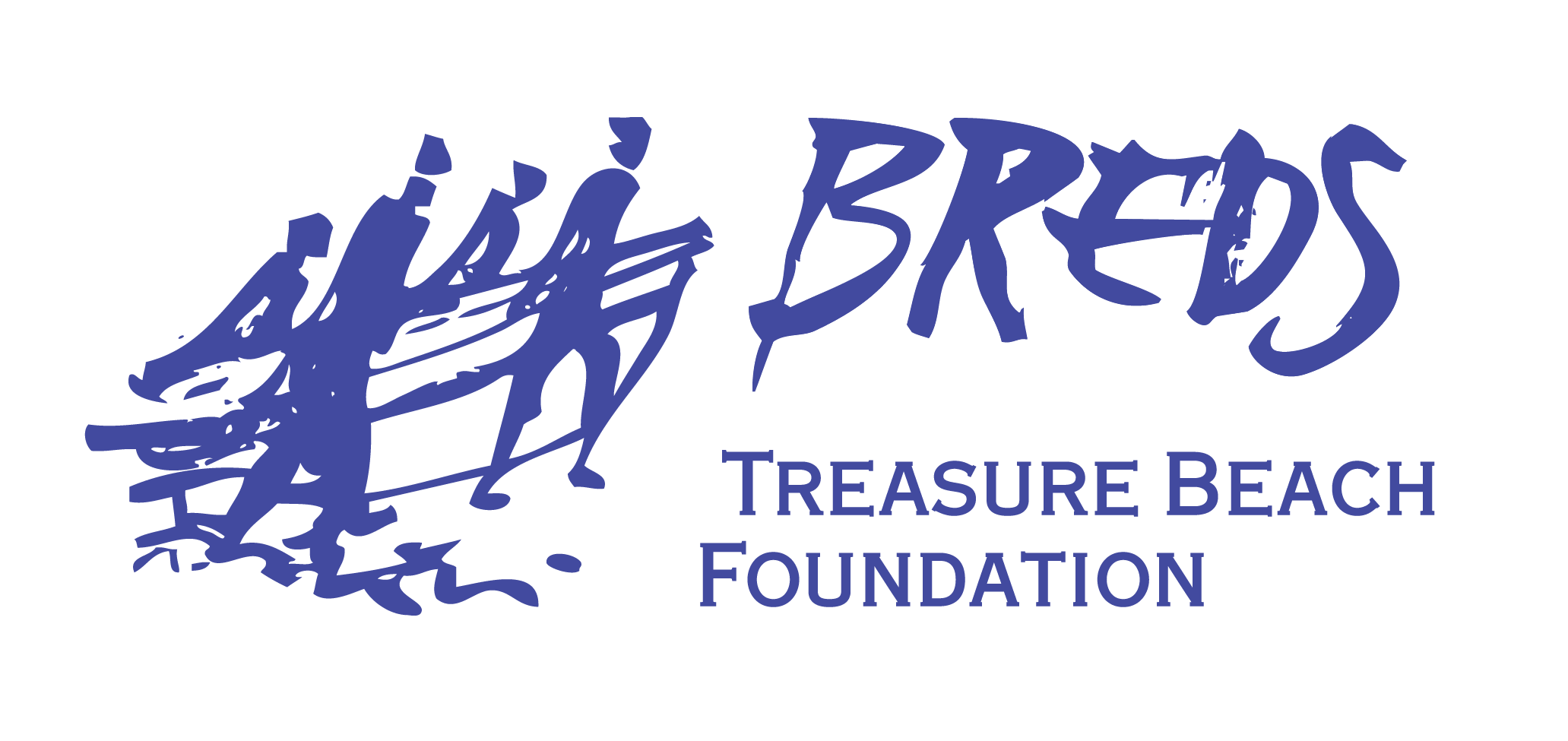BREDS Treasure Beach Foundation