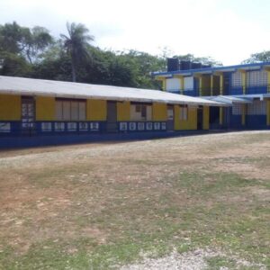 Mandeville Primary School Gallery Image